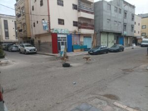 WhatsApp Image 2025 11 22 a 14.00.51 5885db61