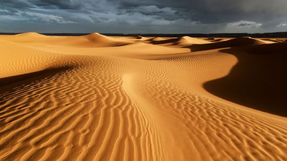 الصحراء الكبرى تستعد لاستقبال أمطار غزيرة غير مسبوقة