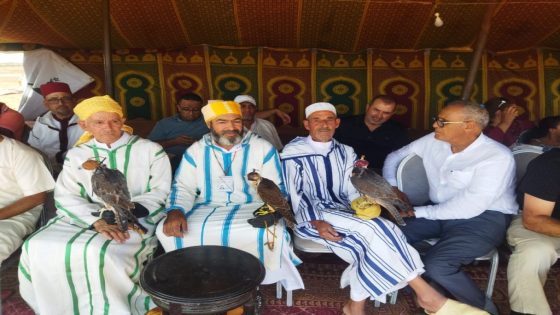 الجديدة…تأمين شامل لمهرجان التين للتبوريدة في أولاد سيدي علي بن يوسف
