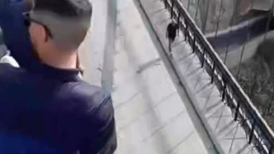 الجزائر.. عائلات تصعد أعلى جسر وتهدد بالانــتحـار