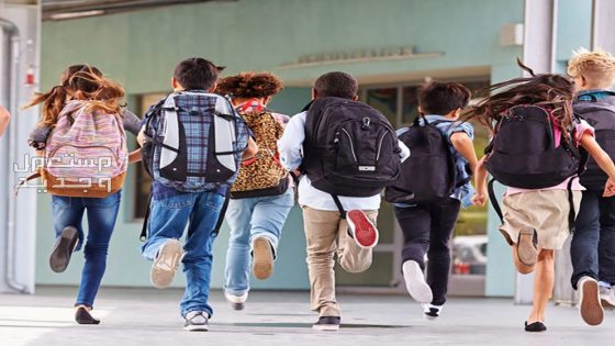 تأجيل الموسم الدراسي الجديد… الحقيقة