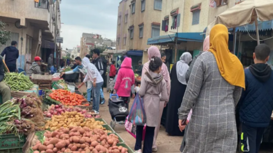 شركات استغلت التضخم ورفعت هوامش الربح بطريقة غير معقول (مجلس المنافسة)