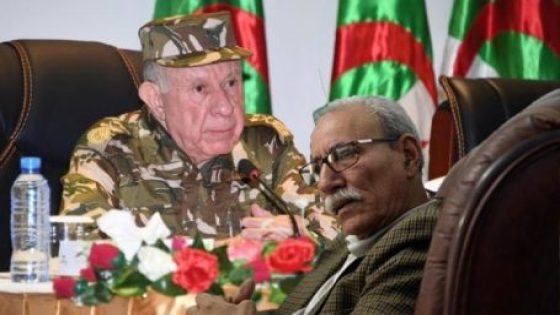 منظمات حقوقية تتهم الجزائر بـ”عرقلة” تسوية نزاع الصحراء وتكشف تنصلها من التزامتها