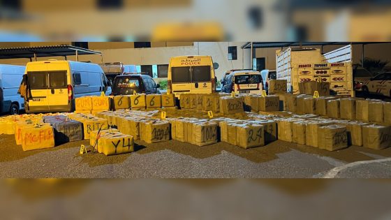 ميناء آسفي.. إجهاض عملية للتهريب الدولي لشحنة من المخدرات تزن أزيد من 8 أطنان من مخدر الشيرا