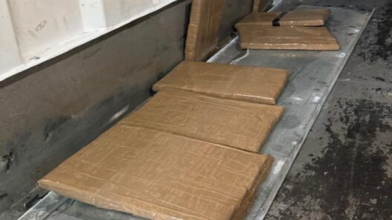 إحباط عملية تهريب دولي للمخدرات في ميناء طنجة المتوسط