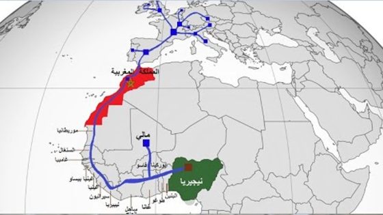 جينجي الصينية تدعم خط الغاز نيجيريا-المغرب: شراكة فولاذية تعزز التكامل الإفريقي