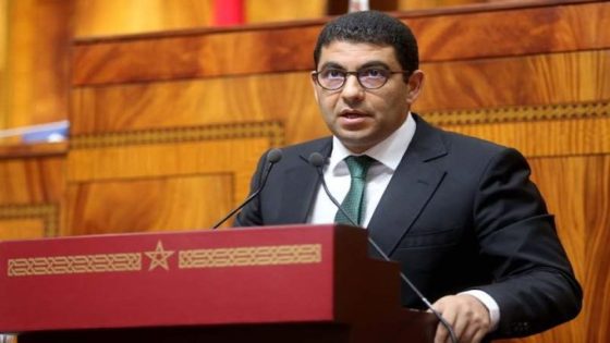إنهاء الدعم الاستثنائي للصحافة في مارس المقبل واستراتيجية جديدة لتعزيز القطاع الإعلامي