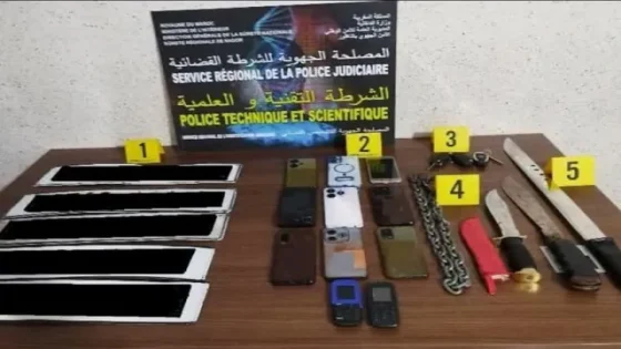 الناظور.. سقوط مطلوبين خطيرين في قبضة الأمن وتفكيك أنشطة إجرامية معقدة!