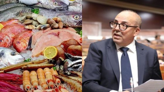 البواري يُسائل غلاء الأسماك: هل تنتهي ثروة المغرب البحرية في جيوب المحتكرين؟