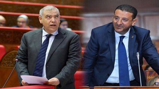 المرابط ينتقد تهميش عمال الإنعاش الوطني: الأجور المتدنية وغياب الاستقرار الوظيفي في الواجهة