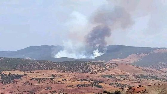 حريق مهول يلتهم غابات بوعزة.. والسلطات في سباق مع الزمن للسيطرة عليه