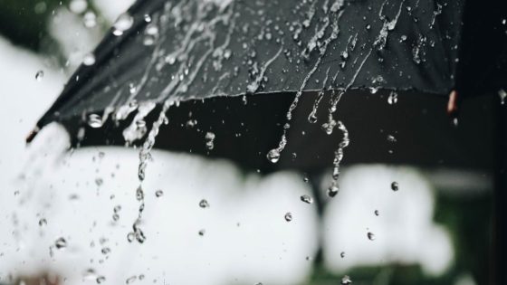 المطر يرسم لوحة الأمل في سماء المغرب ويبشر بموسم فلاحي واعد