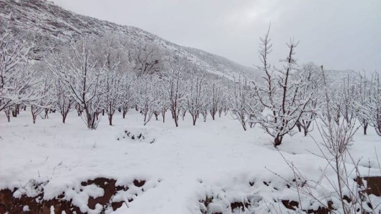 عاصفة الشتاء تضرب المغرب: ثلوج كثيفة، أمطار غزيرة ورياح عاتية!