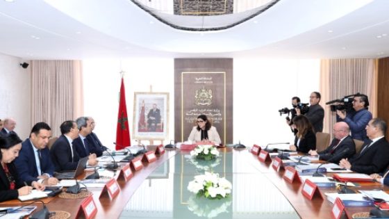 فاطمة الزهراء المنصوري: هل تنجح العمران في تحقيق رؤية الملك للسكن اللائق؟