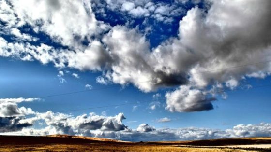 الأرصاد تتوقع أجواء حارة ورياح قوية.. غدًا طقس متقلب بين الرعد والضباب