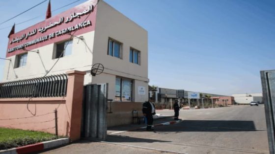 هل تم إقصاء تجار اللحوم الحمراء من التغطية الصحية؟
