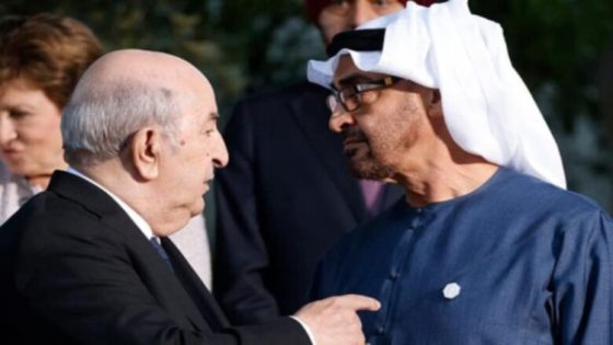 من الهوية الأمازيغية إلى الشتائم الدبلوماسية: ماذا يحدث بين الجزائر والإمارات؟