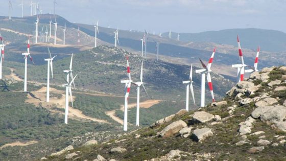 بين الغاز والحياد الكربوني… هل يواجه المغرب “تناقضًا طاقيًا”؟
