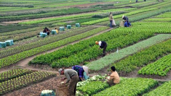 المغرب يعيد الاعتبار للفلاحة العائلية: رافعة استراتيجية منسية نحو تنمية قروية عادلة ومستدامة