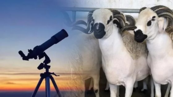 رسميًا: عيد الأضحى بالمغرب يوم السبت 7 يونيو 2025