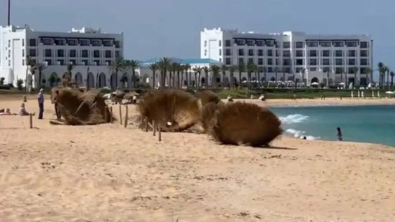 تحرير شاطئ “ريستينكا”.. الدولة تُنهي سنوات من “الاحتكار السياحي”