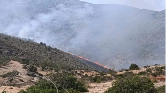 حريق غابوي يهز “ثندا إفران”.. واستنفار ميداني يُجنّب الكارثة