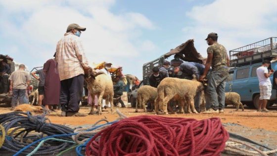 الحسيمة تقرر: لا أضاحي هذا العيد… حماية القطيع أولاً