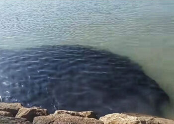 تسرّب ملوثات بشاطئ “البلايا”.. صدمة بيئية تهز ثقة المصطافين بطنجة