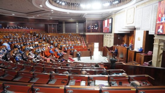 هل يملك النواب حق تعديل قوانين التصديق على المراسيم… أم أن الدستور يقول غير ذلك؟