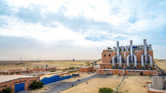 استثمارات الجنوب تحاصر البوليساريو: المال يكتب نهاية الأساطير