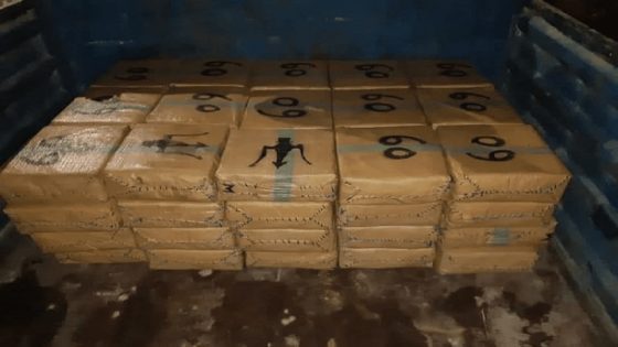 إحباط “ضربة كبرى” لبارونات التهريب بالصويرة: 3 أطنان من الشيرا في قبضة الأمن