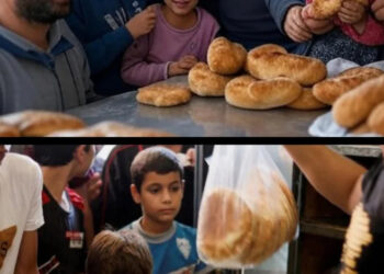 هل يواصل المغرب بقيادة الملك محمد السادس رسم خارطة التضامن الإنساني مع غزة؟