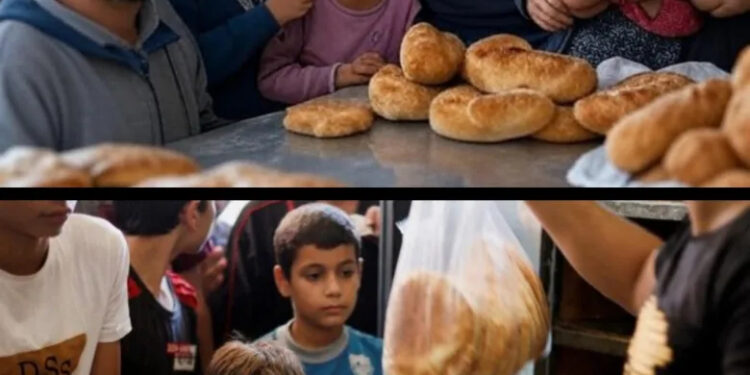 هل يواصل المغرب بقيادة الملك محمد السادس رسم خارطة التضامن الإنساني مع غزة؟