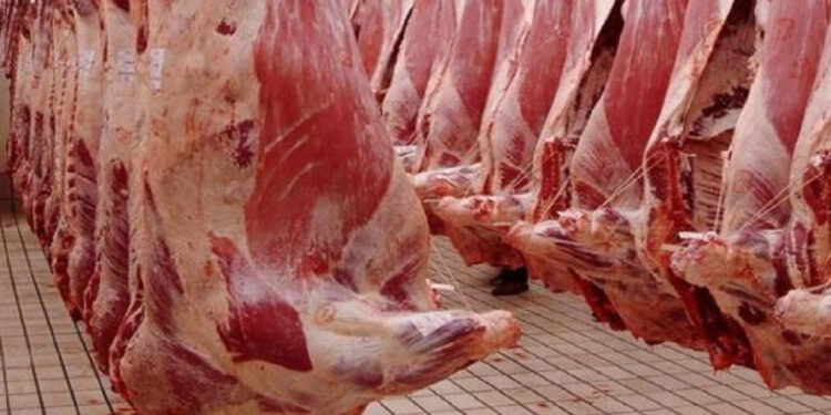إذا كان المغرب يملك 33 مليون رأس ماشية.. فلماذا لا تنخفض أسعار اللحوم الحمراء؟