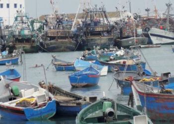 رياح وأمواج عاتية توقف قوارب الصيد ببوجدور