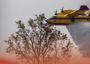 شفشاون… سباق مع الزمن لإخماد نيران دردارة