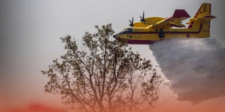 شفشاون… سباق مع الزمن لإخماد نيران دردارة