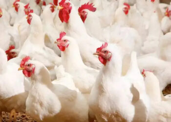 حرارة الطقس تنتقل إلى جيوب المستهلكين