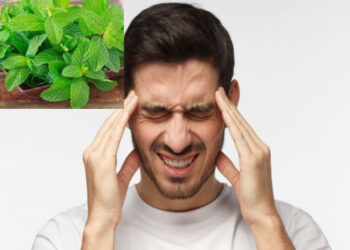 قطرة نعناع تهزم الصداع.. علاج طبيعي أسرع من الباراسيتامول!