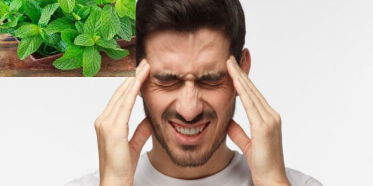 قطرة نعناع تهزم الصداع.. علاج طبيعي أسرع من الباراسيتامول!