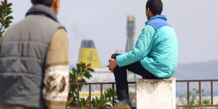 حكومة 2026 دايرة النية… قطاعات واعدة باش تحارب البطالة وتطلق فرص الشغل