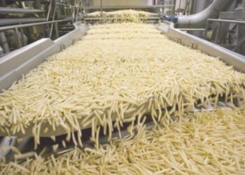 “بطاطس الموت” في الشمال المغربي: برلمانية تدق ناقوس الخطر