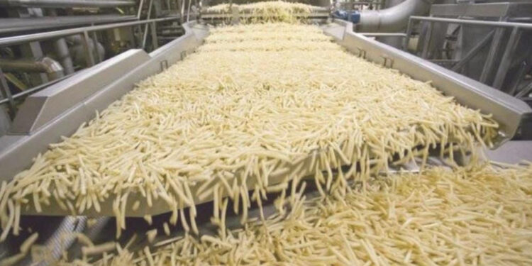 “بطاطس الموت” في الشمال المغربي: برلمانية تدق ناقوس الخطر