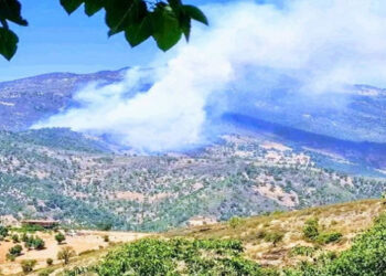 لهيب في قلب الطبيعة.. حريق مهول يلتهم غابة تميّينت بين الحسيمة وشفشاون