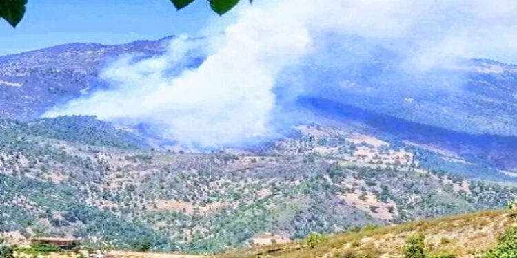 لهيب في قلب الطبيعة.. حريق مهول يلتهم غابة تميّينت بين الحسيمة وشفشاون