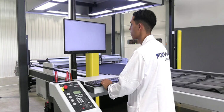 عيد الشباب: احتفاء بجيل يقود الحاضر ويبني المستقبل