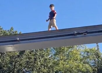 على سكة المونوريل: لحظات رعب في “هيرشي بارك”