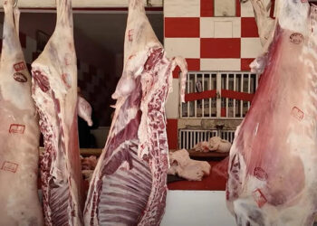 أسعار اللحوم الحمراء تواصل صعودها… والقدرة الشرائية للمغاربة مهددة