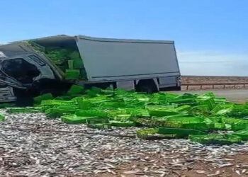 حادث م.ميت على الطريق السريع كلميم–العيون يخلف وفاة سائق شاحنة