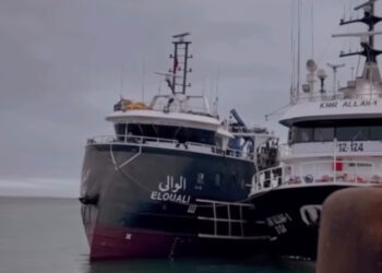 هل تحمي الحكومة ثروتنا البحرية أم تغض الطرف عن مجزرة “سفينة الوالي”؟